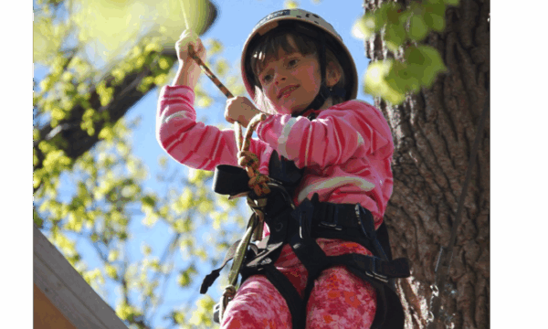 High Ropes Course